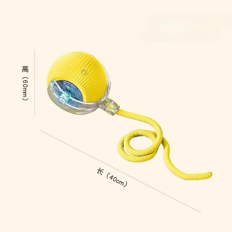 Interactive Cat Rolling Ball Toy